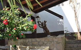 Villa Verde Apartments And Rooms